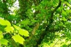 Sporten in de buitenlucht